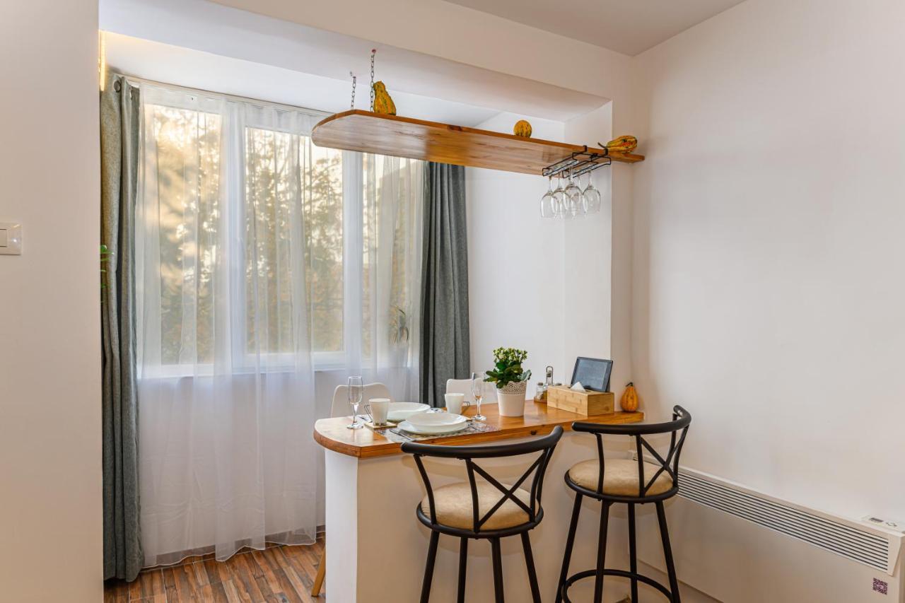 Jad - Family - Apartments & Studios Braşov Eksteriør bilde