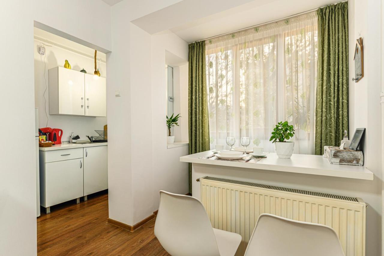 Jad - Family - Apartments & Studios Braşov Eksteriør bilde