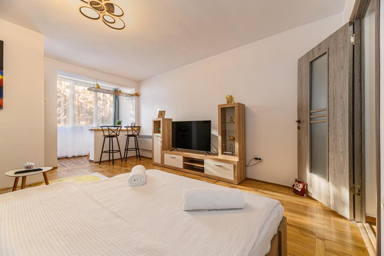 Jad - Family - Apartments & Studios Braşov Eksteriør bilde